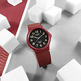 Часы Casio MQ-24UC-4BEF, фото 5