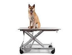 Ветеринарное оборудование