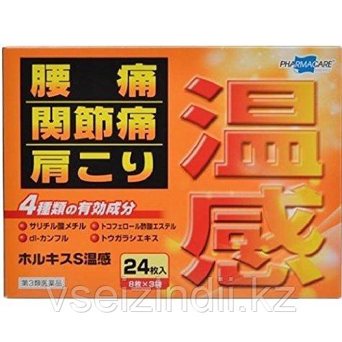 Пластырь от боли 24 шт. Япония, Teikoku Pharma Care