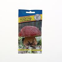 Мицелий Белый гриб сосновый, 50 мл