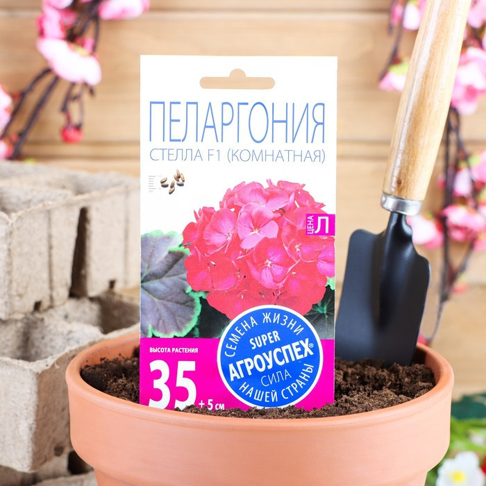 Семена цветов Пеларгония "Стелла", розовая с коричневым листом, F1, 4 шт - фото 1 - id-p107893058