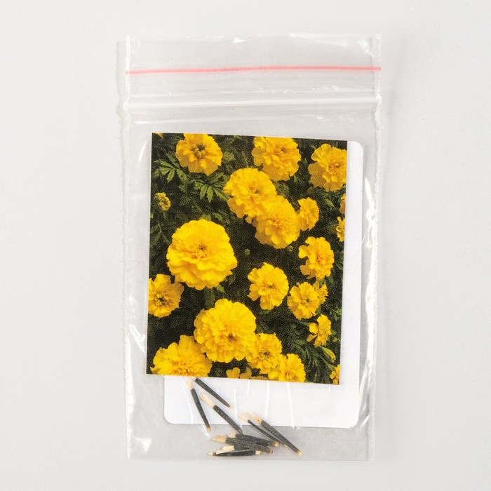 Семена цветов Бархатцы "Дюранго", Голд, Pan American, 10 шт - фото 1 - id-p107904152