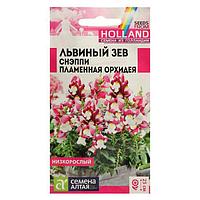 Семена цветов Львиный зев Снэппи "Пламенная орхидея", Сем. Алт, ц/п, 10 шт