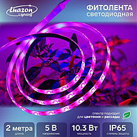 Фитолента светодиодная Lrazon, 5 В, SMD5050, 2 м, IP65, 10.3 Вт, 60 LED/м, дим., rSB