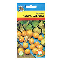 Семена Физалис "СВЕТКА-КОНФЕТКА", 0,1 г