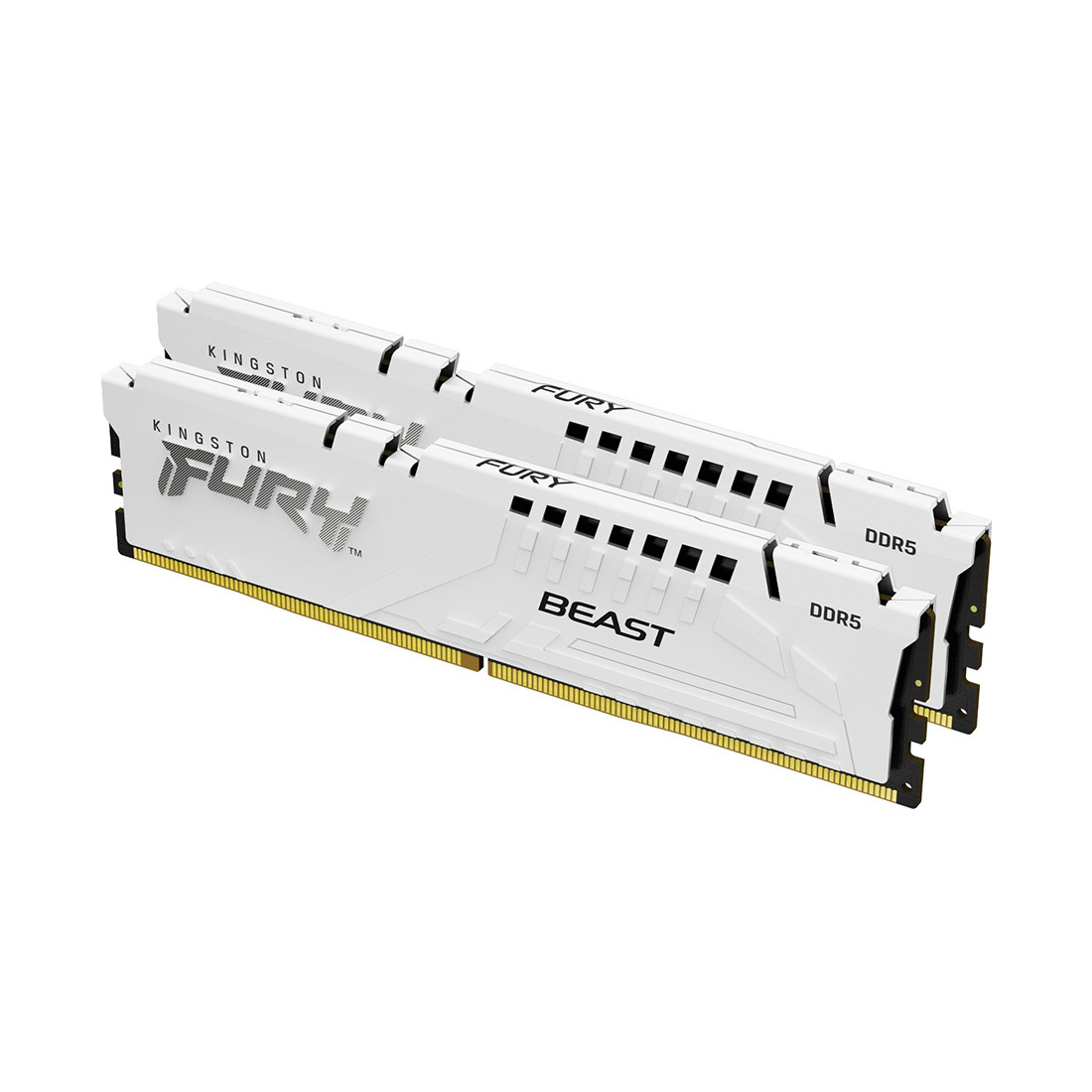 Комплект модулей памяти Kingston FURY Beast White EXPO KF552C36BWEK2-32 DDR5 32GB - фото 1 - id-p107913398