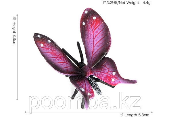 Бабочка фиолетово-красная, фото 2