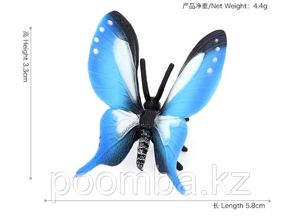 Бабочка синяя, фото 2