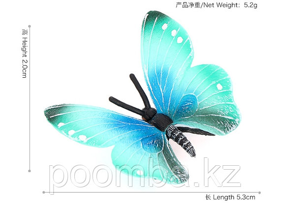 Бабочка сине-голубая, фото 2