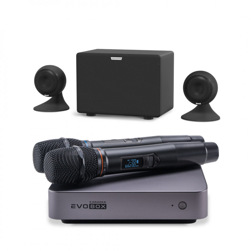 Караоке комплект Studio Evolution EVOBOX [SE 200D] + EvoSound Sphere
