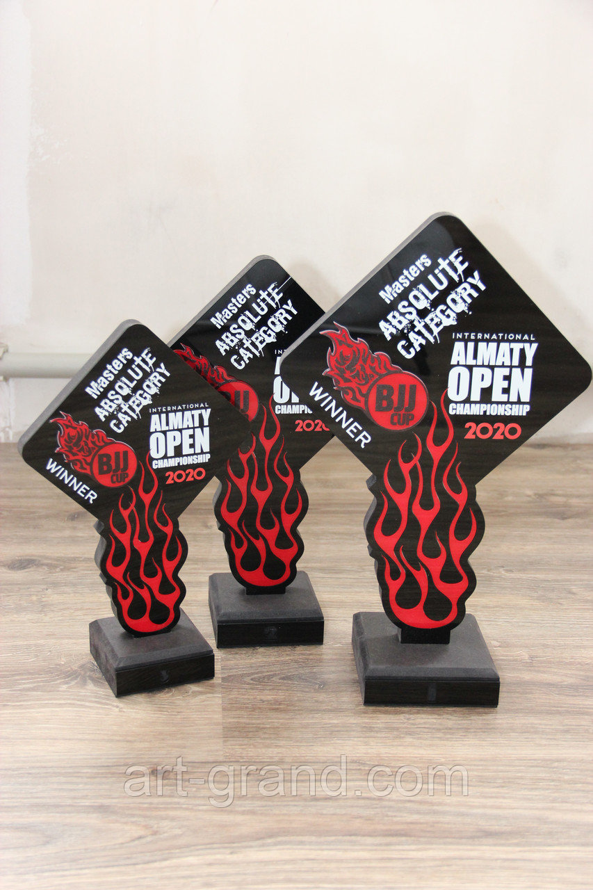 Награды по джиу-джитсу, фото 1