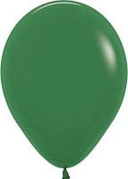 R 5 пастель Темно-зеленый 032