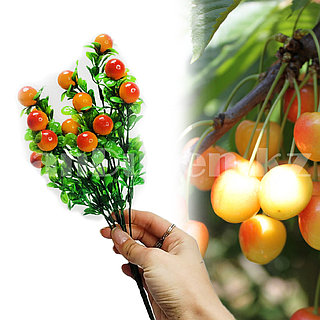 Шакираның трусисыз жалаңаш киски фотосы