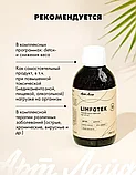 Лимфотек (Limfotek), Арт Лайф, 220мл, фото 5