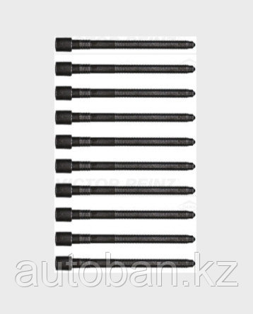 Комплект болтов ГБЦ! 10шт Volkswagen Golf/Sharan/Passat /Audi A4/A6 1.8/1.8T 20V 1996>