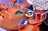 Настольная игра: Голоса в голове | Хоббиворлд, фото 7