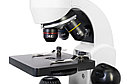 Микроскоп Levenhuk Rainbow D50L PLUS, 2 Мпикс, Moonstone\Лунный камень, фото 4
