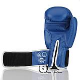 Боксерские перчатки DX GFX-2 синий, фото 3
