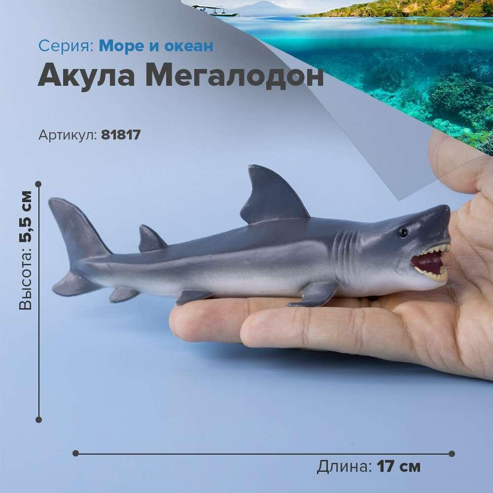 Derri Animals Фигурка Акула Мегалодон, 16 см. 81817, фото 1