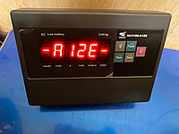 Весовые индикаторы A12E