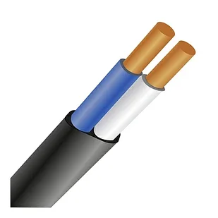 ВВГ 2х1,5  0,66 кВ (300)   ГОСТ EKT