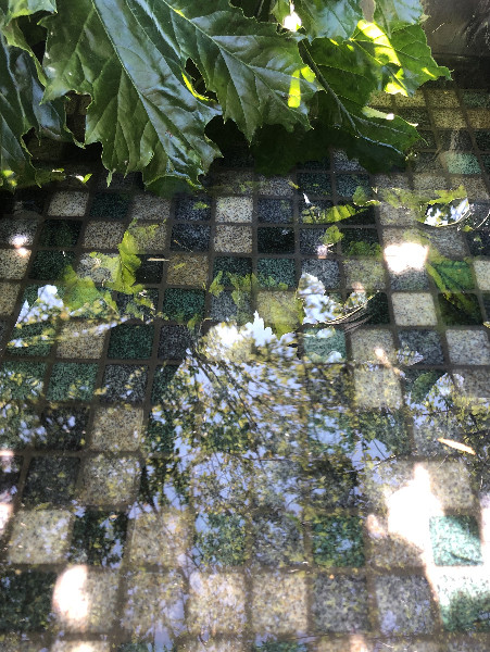Стеклянная мозаика Reviglass Deep River (Коллекция Paradise Stones, цвет: зеленый-серый) - фото 4 - id-p108024371