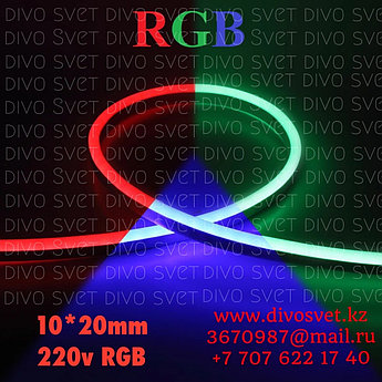 Флекс неон SMD 10*20мм RGB разноцветный. Led Flex neon 16*8 мм, гибкий неон 220 v цветной ргб.