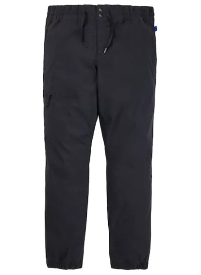 Брюки мужские Burton Ridge Jogger