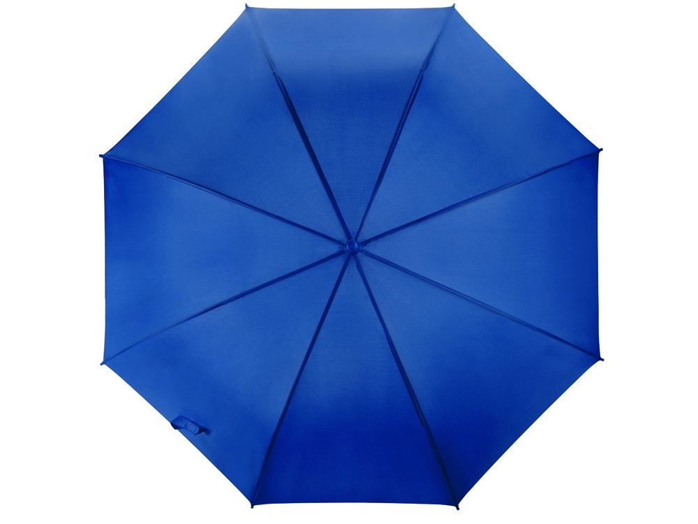 Зонт-трость полуавтоматический с пластиковой ручкой - фото 4 - id-p55512728