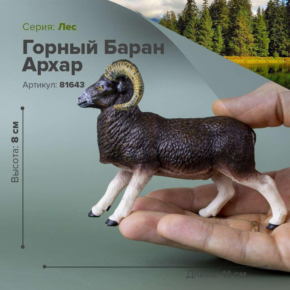 Derri Animals Фигурка Горный Баран Архар, 11 см 81643, фото 1