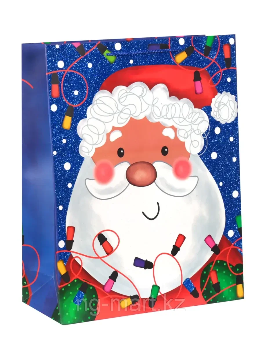 Пакет новогодний Дед Мороз с гирляндой - фото 1 - id-p108086262