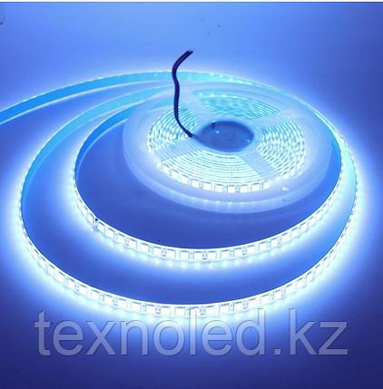Светодиодная лента SMD 2835 / 12V 120led синяя, фото 1