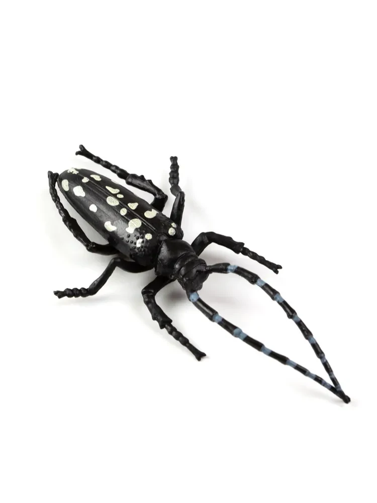 Derri Animals Фигурка Жук Усач Азиатский, 9 см 84316, фото 1