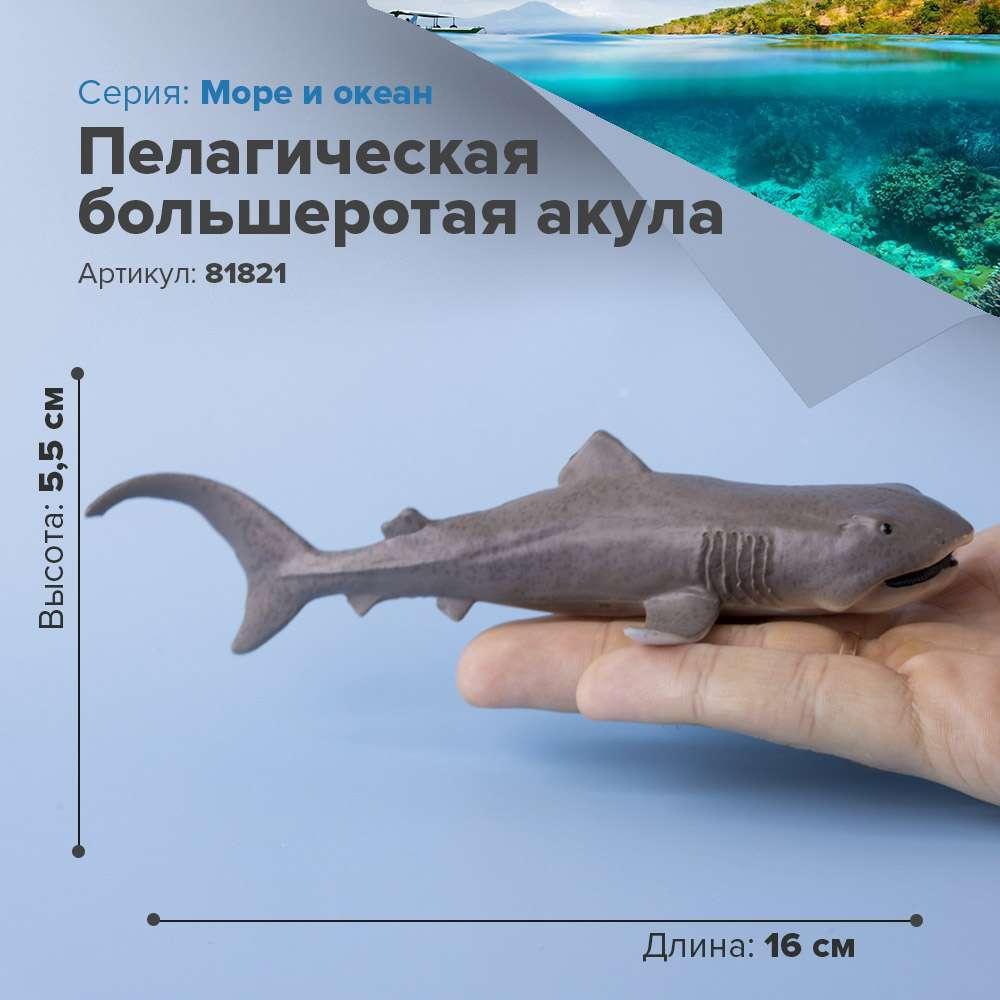 Derri Animals Фигурка Пелагическая большеротая акула, 16 см. 81821 - фото 1 - id-p107995797