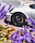 Кованые диски Brixton PF7 RS Targa, фото 7