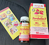 Капсулы для похудения Forskolin P - Форсколин П
новый дизайн, фото 2