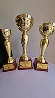 Шильды для наградных кубков