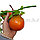 Искусственный фрукт связка апельсин связка муляж 56см, фото 4