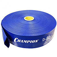 Арынды жеңі Champion 80 (100м)