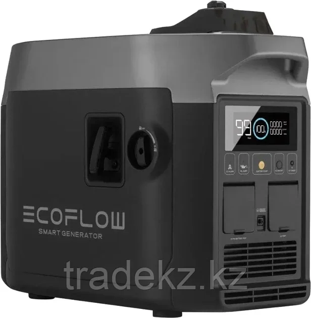 Интеллектуальный генератор EcoFlow GasEB-EU - фото 1 - id-p108229336