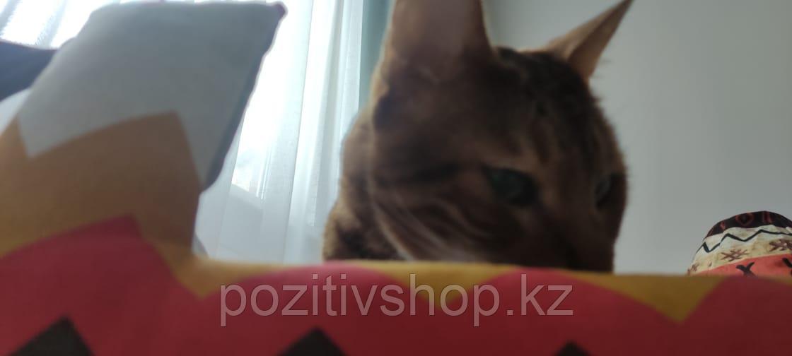 Лежанка для котиков двухсторонние цветной зигзаг - фото 5 - id-p108230221