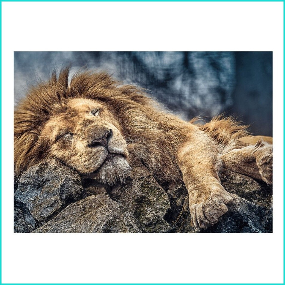 Пазл "Спящий лев" (48x68) (1000 деталей) - фото 2 - id-p108230328