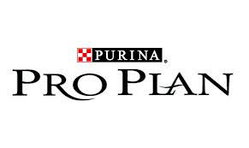 Pro Plan корм для кошек в асортименте