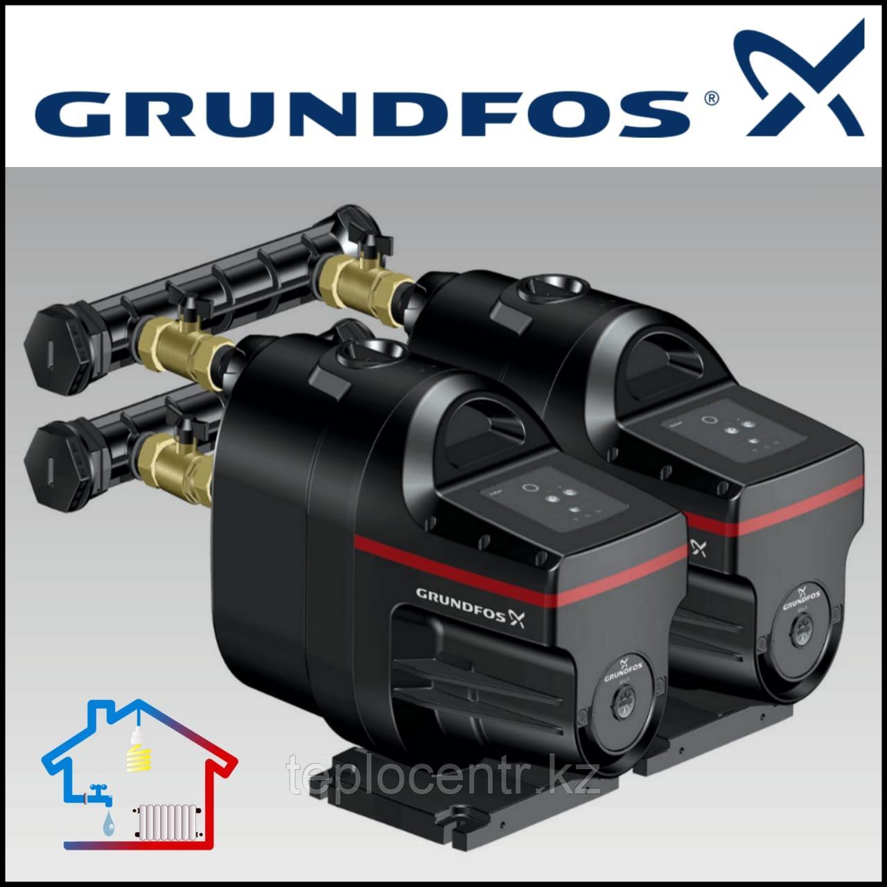 Туған жыныс Анал блять