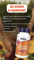 Co-Enzyme B-Complex, 60 veg.caps, NOW, фото 4