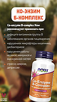 Co-Enzyme B-Complex, 60 veg.caps, NOW, фото 5