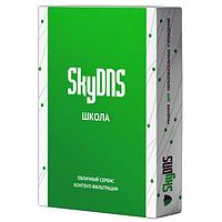 SkyDNS Школа. 15 лицензий на 1 год