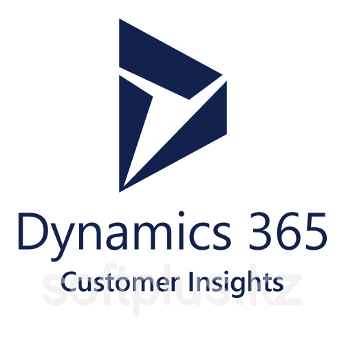 Dynamics 365 Customer Insights Accounts Add-on - месячная подписка - фото 1 - id-p108354289