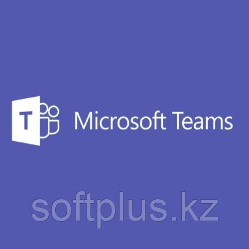 Microsoft Teams Rooms Pro without Audio Conferencing - месячная подписка - фото 1 - id-p108354600