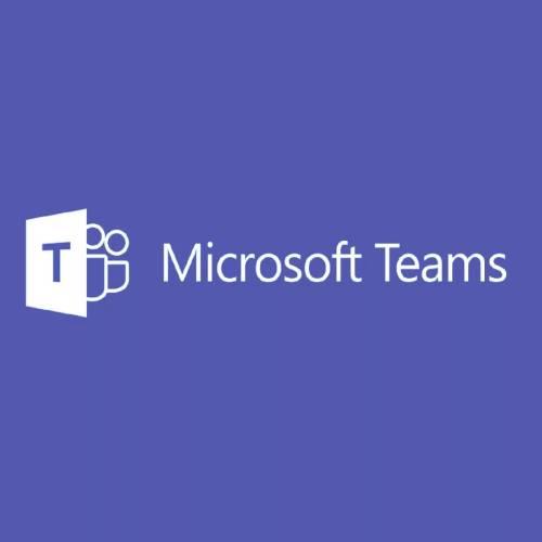 Microsoft Teams Rooms Pro without Audio Conferencing - годовая подписка - фото 1 - id-p108354601